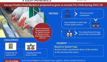 Europe Poultry Feed Market