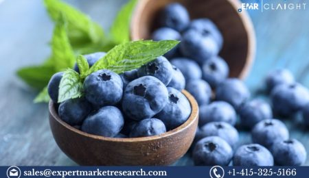 United States Blueberry Market