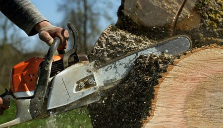 Tree Stump Removal Services in Huntsville AL
